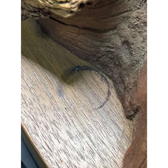 Neil J. Rose 1996 Limited Edition Sculpture "Birds Of Prey" Three Bald Eagles - Picture 12 of 12